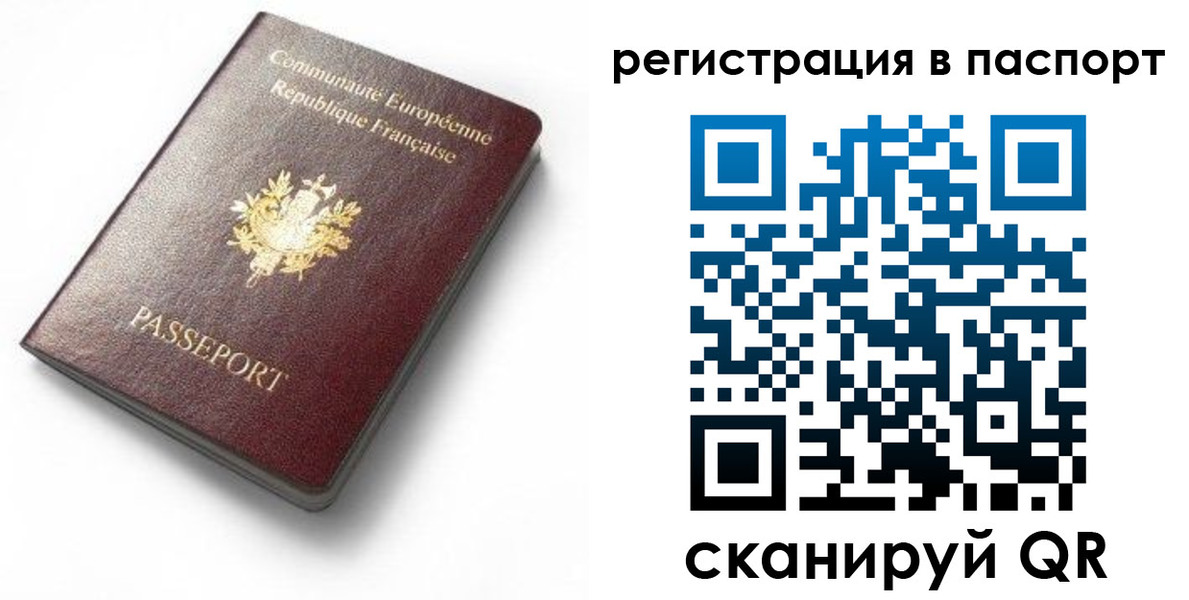 миграционный учет в Камышине